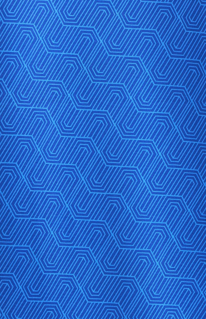 Lapis Blue/Blue Aster
